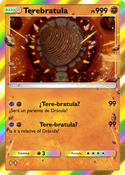 Orthoceras